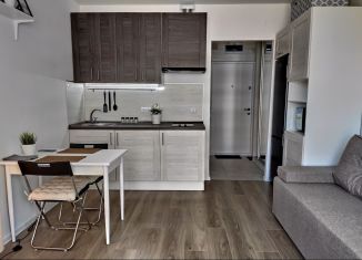 Сдается квартира студия, 20 м2, Люберцы, улица Лётчика Ларюшина, 20, ЖК Жулебино Парк