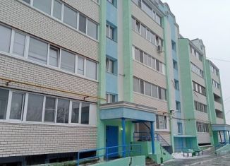 1-комнатная квартира на продажу, 40.6 м2, рабочий поселок Ишеевка, Новокомбинатовская улица, 5