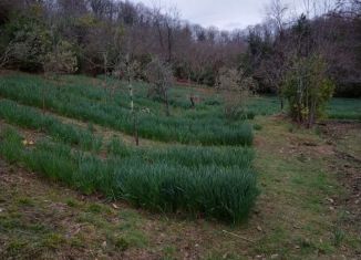 Участок на продажу, 10 сот., Сочи, микрорайон Центральный