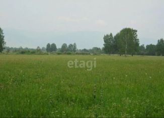 Продается земельный участок, 100 сот., село Усть-Кокса