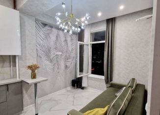 Сдам однокомнатную квартиру, 33 м2, Сочи, микрорайон Заречный, улица Гагарина, 55В