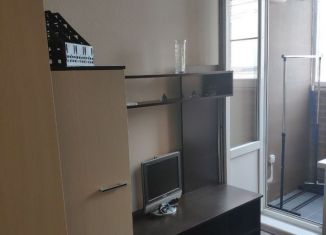 Сдам в аренду квартиру студию, 24 м2, Мурино, Воронцовский бульвар, 17, ЖК Алфавит