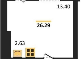 Однокомнатная квартира на продажу, 24.4 м2, Новосибирск, жилой комплекс Авиатор, 1-1, ЖК Авиатор