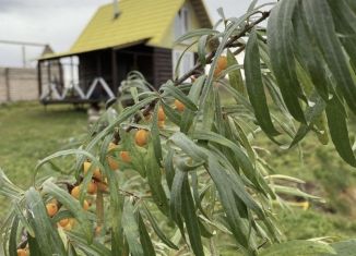 Дом на продажу, 45 м2, деревня Заборье, Цветочная улица, 44