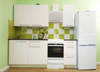 Сдам квартиру студию, 27 м2, Мурино, Екатерининская улица, 6к1, ЖК Виктория