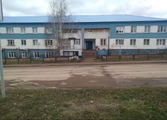 2-ком. квартира на продажу, 45 м2, село Языково, улица Пушкина, 20