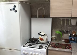 Продам 1-комнатную квартиру, 30 м2, деревня Борки, улица Покровского