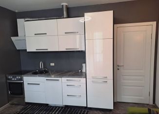 Сдается 2-комнатная квартира, 36.6 м2, Челябинск, улица Академика Макеева, 36, ЖК Ньютон