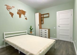 Сдается однокомнатная квартира, 34.5 м2, поселок Бугры, Гаражный проезд, 27к1, ЖК Новые Горизонты