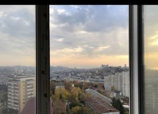 Продается квартира со свободной планировкой, 90 м2, Сочи, Пасечная улица, 30, микрорайон Донская