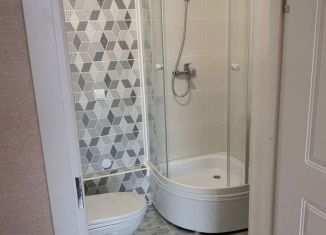 Продам квартиру студию, 22.9 м2, посёлок Стрельна, ЖК Любоград