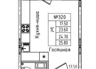 Квартира на продажу студия, 24.7 м2, городской посёлок Новоселье