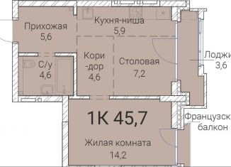 Продам 1-комнатную квартиру, 45.7 м2, Новосибирская область, Овражная улица, 2А