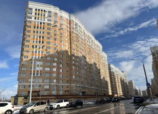 3-комнатная квартира на продажу, 95 м2, Москва, 6-я Радиальная улица, 3к11, ЖК Царицыно