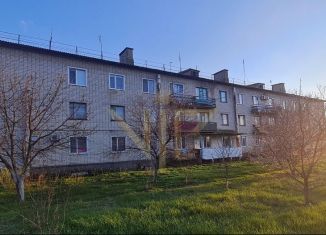 Продажа 3-комнатной квартиры, 67 м2, село Соколовское, Школьная улица