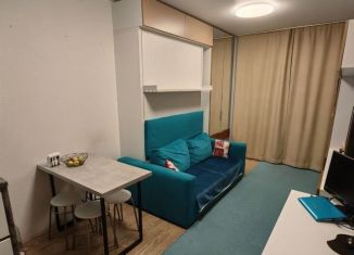 Продаю однокомнатную квартиру, 46 м2, Екатеринбург, микрорайон Светлый, 5, метро Ботаническая
