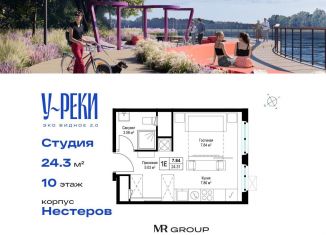 Квартира на продажу студия, 24.3 м2, деревня Сапроново, микрорайон Купелинка, 4