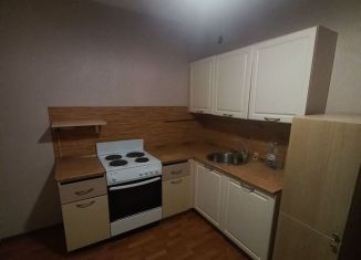 2-ком. квартира в аренду, 55 м2, Балашиха, улица Кожедуба, 10