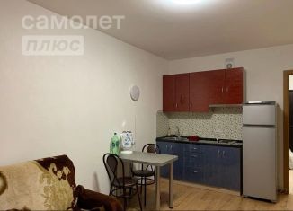 Аренда квартиры студии, 30 м2, Колпино, улица Севастьянова, 28к1