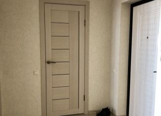 1-комнатная квартира в аренду, 42 м2, Самара, проспект Карла Маркса, 196, ЖК Центральный