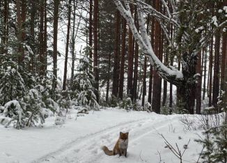 Участок на продажу, 18 сот., село Учалы