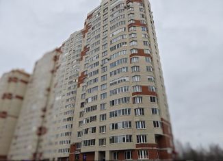 Продам двухкомнатную квартиру, 65.1 м2, Санкт-Петербург, улица Ворошилова, 33к1, ЖК Ладожский Парк