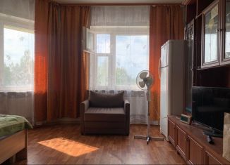 Продаю однокомнатную квартиру, 37 м2, Новгородская область, микрорайон Кречевицы, 1к1