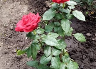 Земельный участок на продажу, 10 сот., деревня 1-я Моква, Воскресенская улица