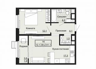 1-комнатная квартира на продажу, 41.1 м2, Владимирская область