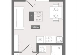 Продаю квартиру студию, 24.3 м2, деревня Новое Девяткино