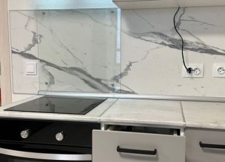 Сдам в аренду квартиру студию, 25 м2, Санкт-Петербург, проспект Будённого, 21к1, метро Проспект Ветеранов