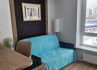 Сдам в аренду квартиру студию, 21.4 м2, Люберцы, улица Лётчика Ларюшина, 4/1, ЖК Жулебино Парк