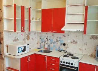 Аренда 1-комнатной квартиры, 38.4 м2, Санкт-Петербург, Репищева улица, 15к3, метро Удельная