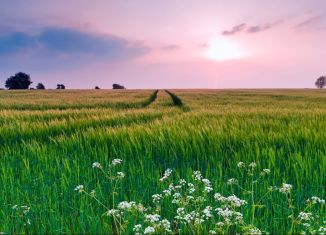 Продаю участок, 321 сот., село Чаадаево