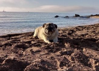 Земельный участок на продажу, 12 сот., СНТ Ленок