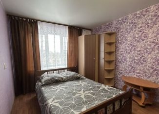 Сдается в аренду однокомнатная квартира, 28.6 м2, Нижегородская область, улица Чапаева