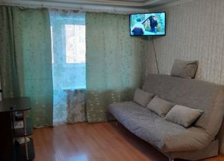 Сдача в аренду двухкомнатной квартиры, 45 м2, Челябинская область, улица Барбюса, 63