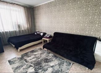 Квартира в аренду студия, 29.9 м2, Кемеровская область, улица Исайченко, 18