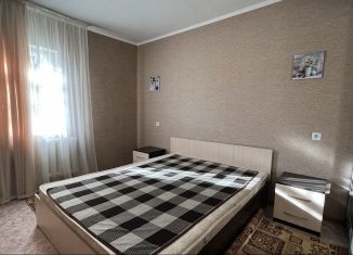 Сдается дом, 49 м2, село Чистенькое, улица Калинина, 9