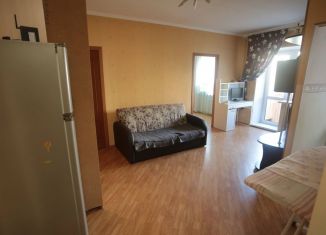 Сдается в аренду двухкомнатная квартира, 43 м2, поселок Кузнечики, посёлок Кузнечики, 2