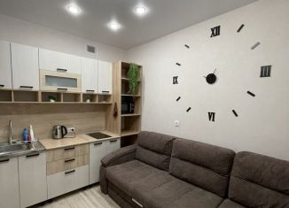 2-комнатная квартира в аренду, 50 м2, Пензенская область, улица Щербакова, 87