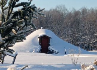Сдается в аренду дача, 19 м2, деревня Синковицы, деревня Синковицы, 1