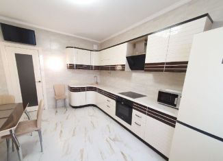 Сдам 1-ком. квартиру, 41 м2, Санкт-Петербург, Пулковская улица, 6к5