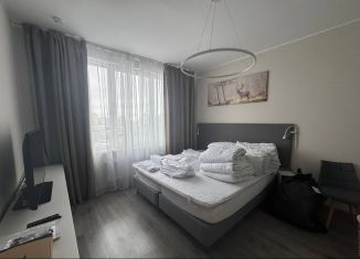 Сдается 1-ком. квартира, 40 м2, Санкт-Петербург, Витебский проспект, 101к1, метро Купчино