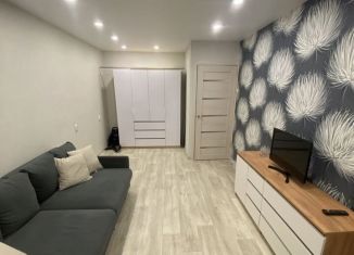 Сдается 1-ком. квартира, 30 м2, Мурманск, улица Капитана Маклакова, 33