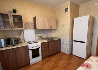 Сдается в аренду 1-ком. квартира, 35.3 м2, посёлок Парголово, Заречная улица, 33