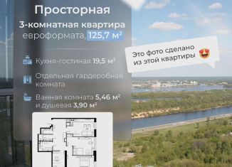 Продам трехкомнатную квартиру, 125.8 м2, Нижний Новгород, Сенная площадь, 1, метро Горьковская