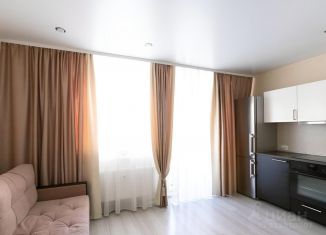Сдается квартира студия, 24.2 м2, Мурино, Петровский бульвар, ЖК Краски Лета