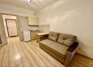 Сдам в аренду квартиру студию, 20.5 м2, Мурино, Воронцовский бульвар, 14к1, ЖК Краски Лета