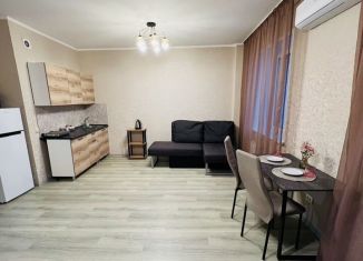 Квартира в аренду студия, 45 м2, Хакасия, проспект Ленина, 49